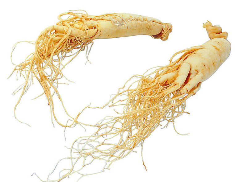 ginseng-juuri tehokkuuden lisäämiseksi